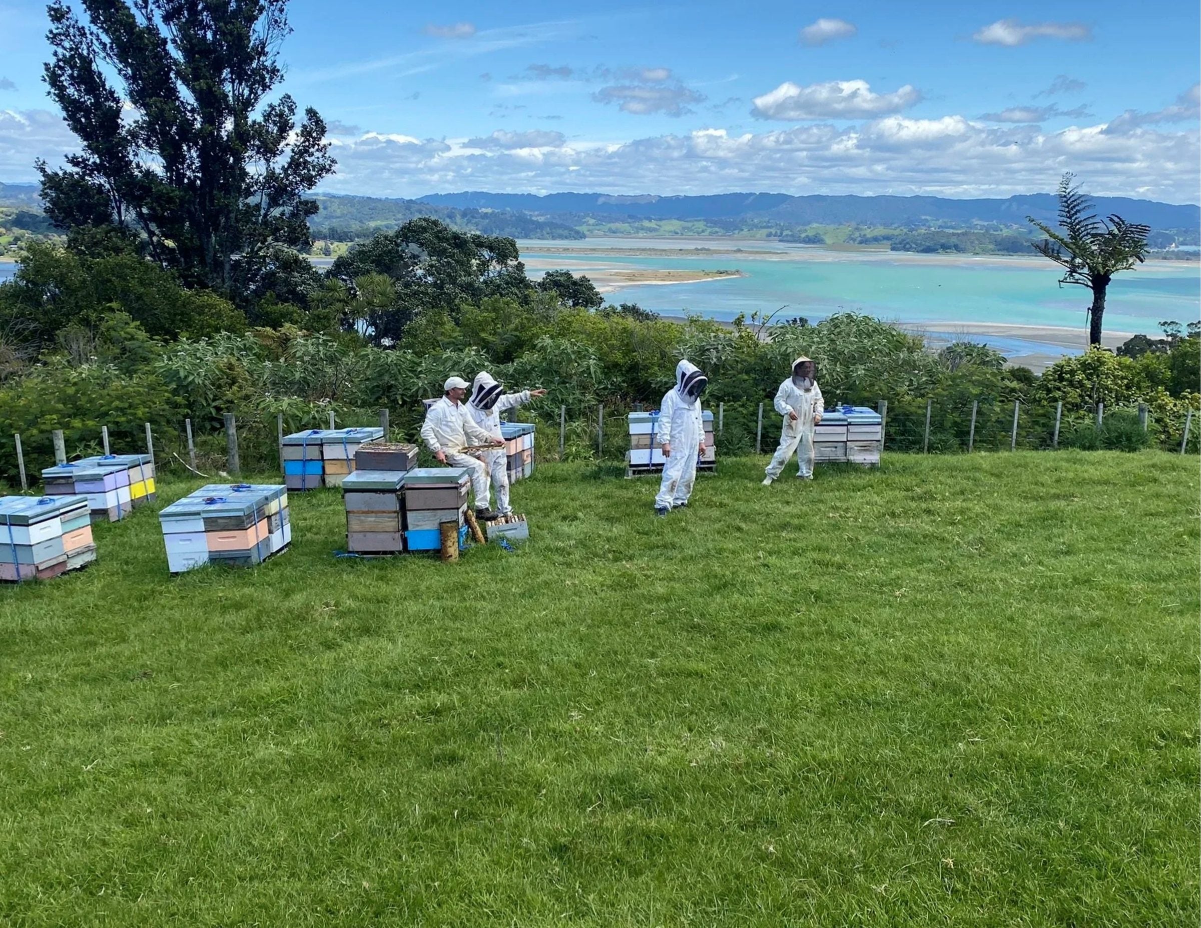 Pure New Zealand Mānuka Honey