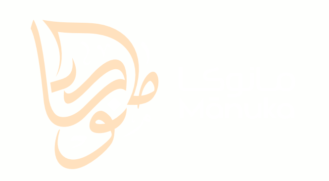 My Store 2